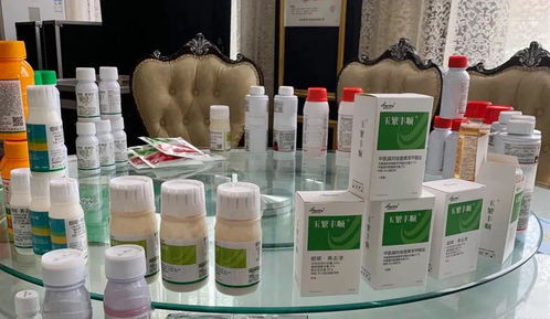 專業(yè)方案,更優(yōu)選擇 河南瀚斯夏季除草劑產(chǎn)品技術培訓會山東曹縣專場圓滿召開